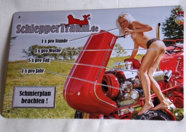 Blechschild Bierschild Werbung, Schlepper Porsche Schmierplan, Sexy Girl
